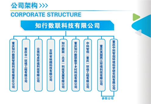 公司图谱