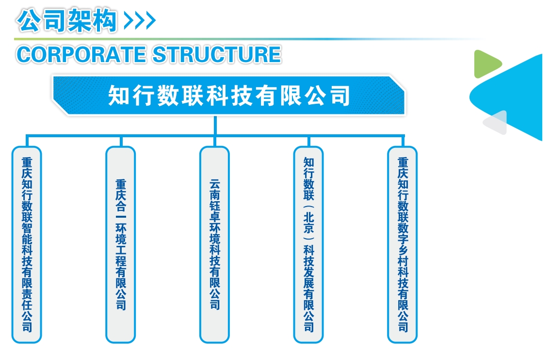 公司图谱